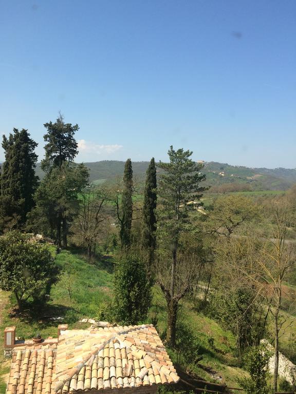 Tenuta Di Vico Moricino Anagni Quarto foto